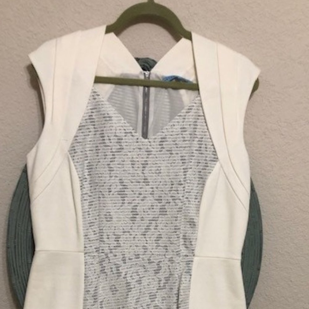 Antonio Melani Bodycon Dress (NWT)